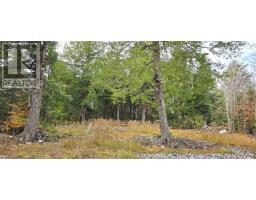 Lot 24 Russells Cove Road, Parkdale, NS B0R1A0 Photo 16