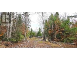 Lot 24 Russells Cove Road, Parkdale, NS B0R1A0 Photo 6