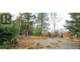 Lot 24 Russells Cove Road, Parkdale, NS B0R1A0 Photo 17