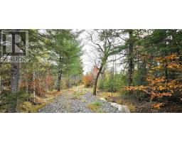 Lot 24 Russells Cove Road, Parkdale, NS B0R1A0 Photo 13