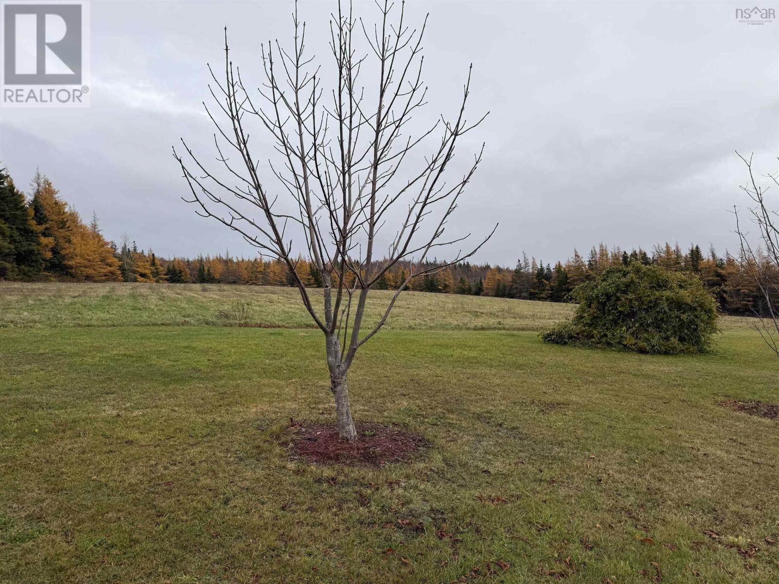 Property 40 of 42 of 6946 Highway 19 Highway