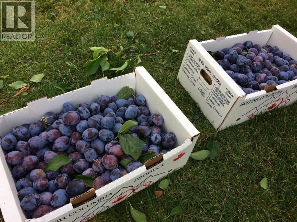  7630 97A Highway, Mara