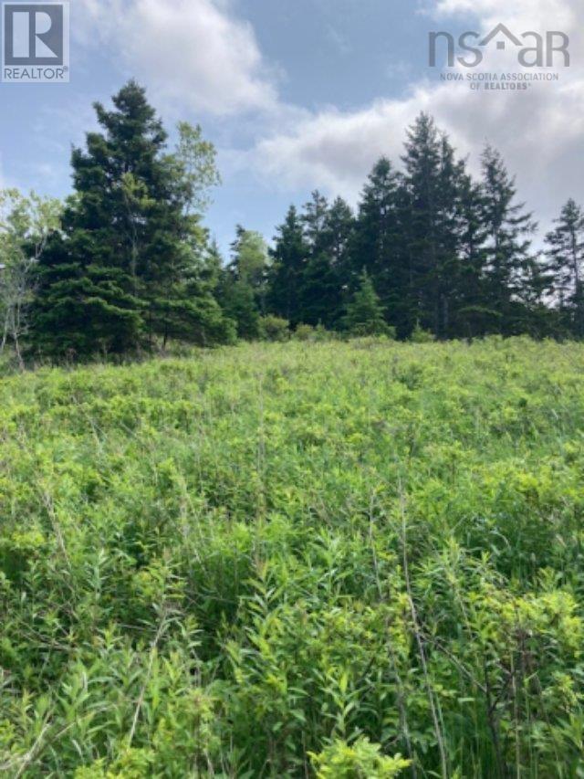 Property 14 of 23 of 1 South Side River Bourgeois Road