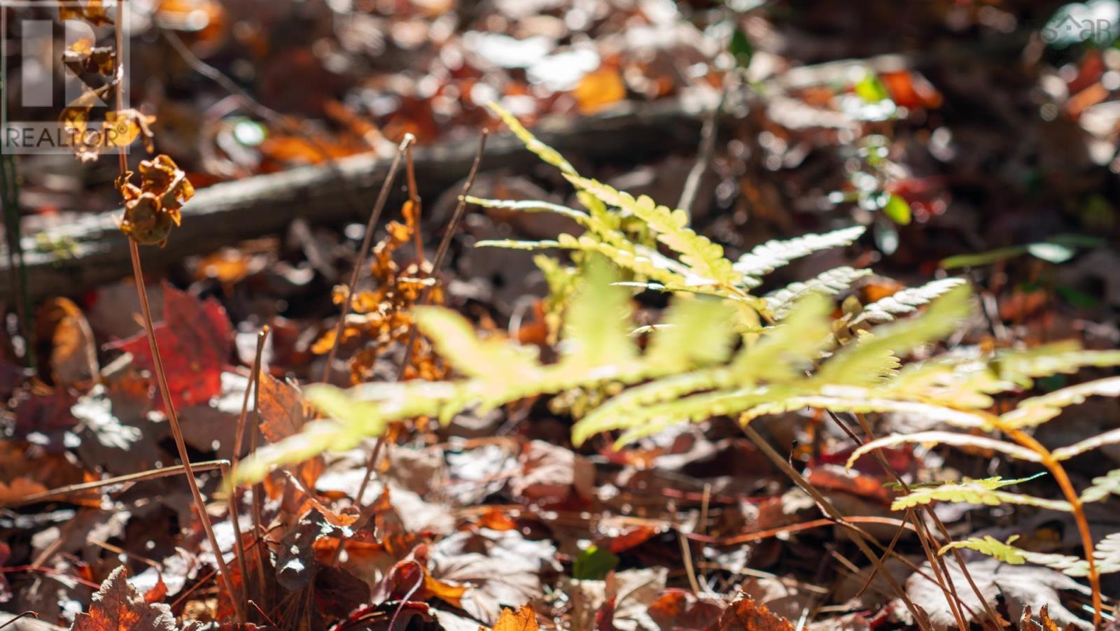 Property 1 of 10 of LOT BR-1 Bowers Road