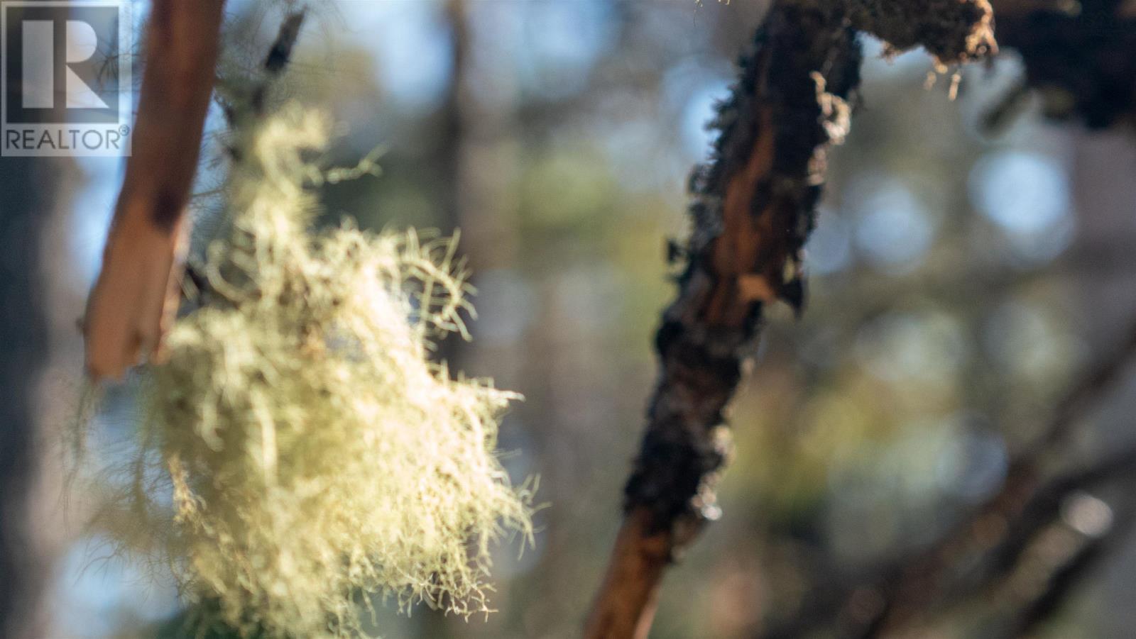 Property 5 of 10 of LOT BR-1 Bowers Road