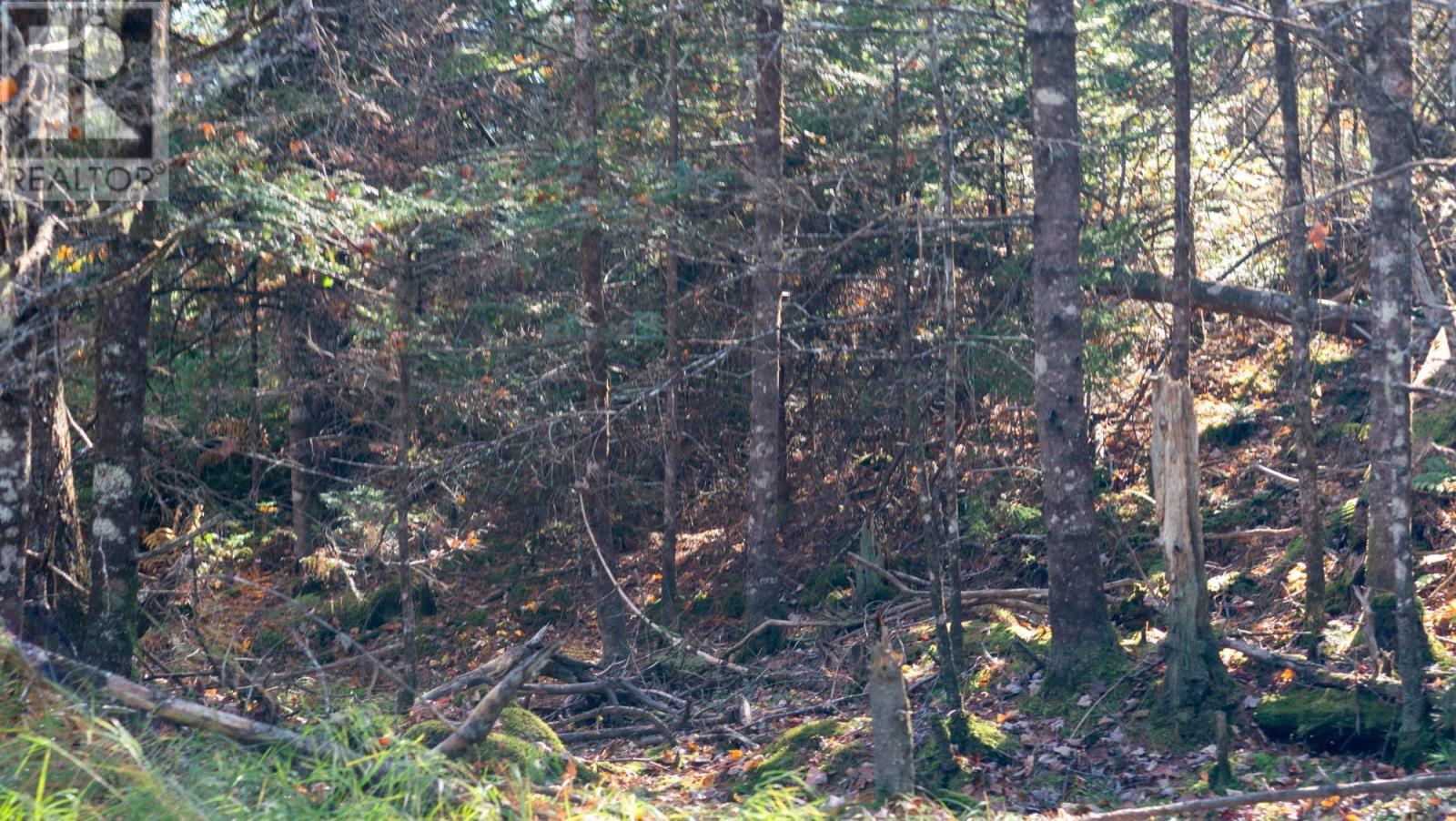 Property 9 of 10 of LOT BR-1 Bowers Road