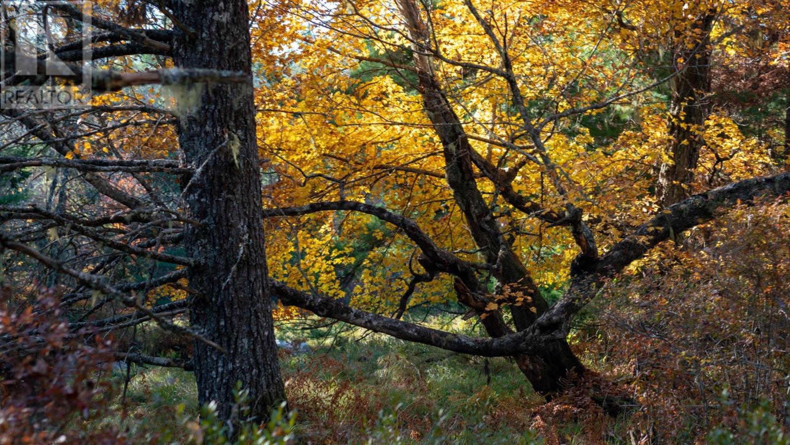 Property 6 of 10 of LOT BR-1 Bowers Road