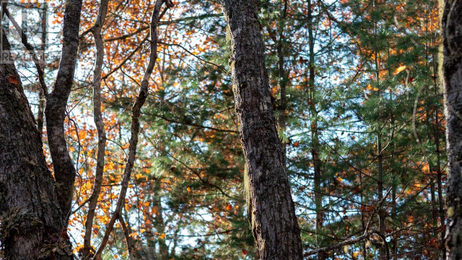 Property 3 of 10 of LOT BR-1 Bowers Road