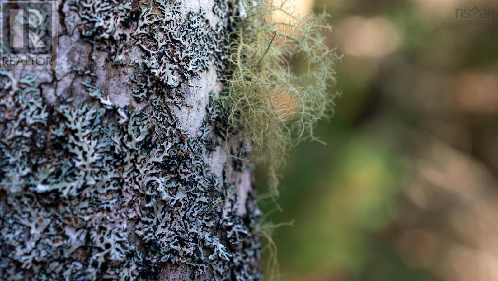 Property 10 of 10 of LOT BR-1 Bowers Road