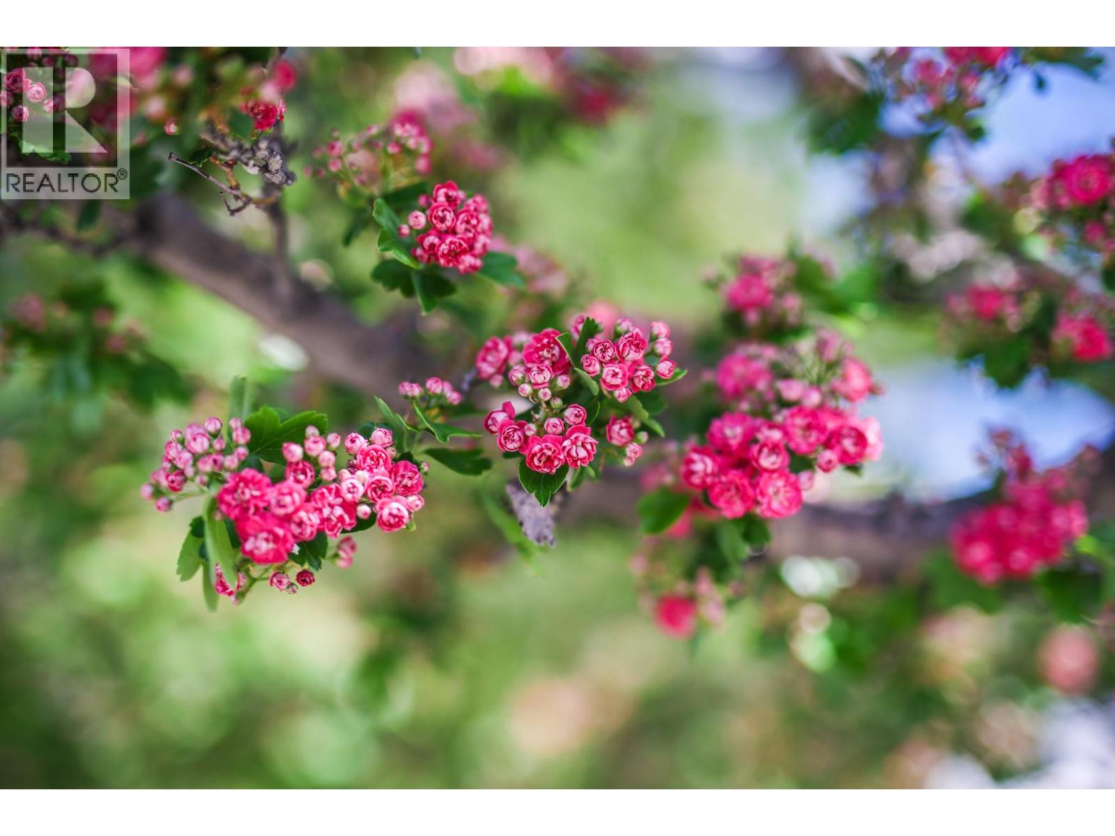 8009 87th Street, Osoyoos