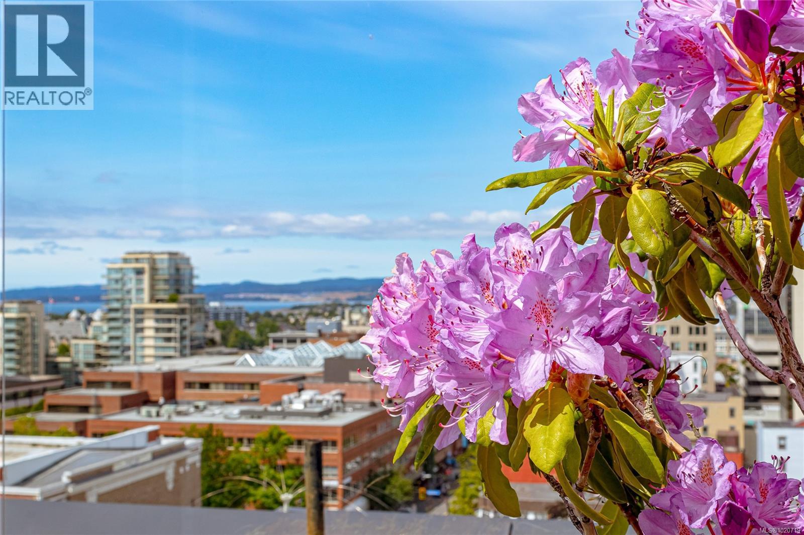 406 838 Broughton Street, Victoria