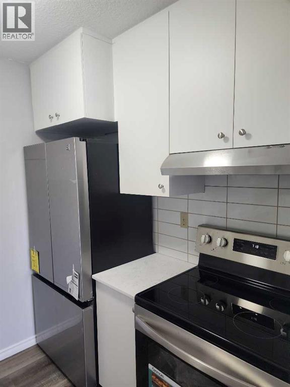 Single Family House Bi-level for Sale in B   Street SE Forest Lawn Calgary 