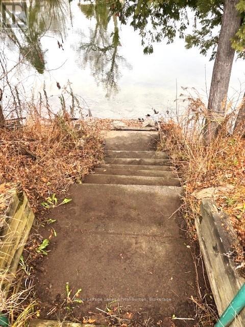 3 ANSON STREET - Photo 3 of 44, Minden Hills (Lutterworth), Ontario