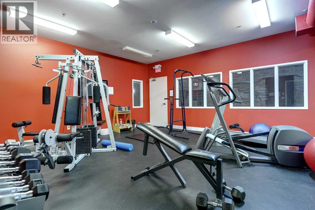 309, 220 11 Avenue SE, Calgary, Alberta