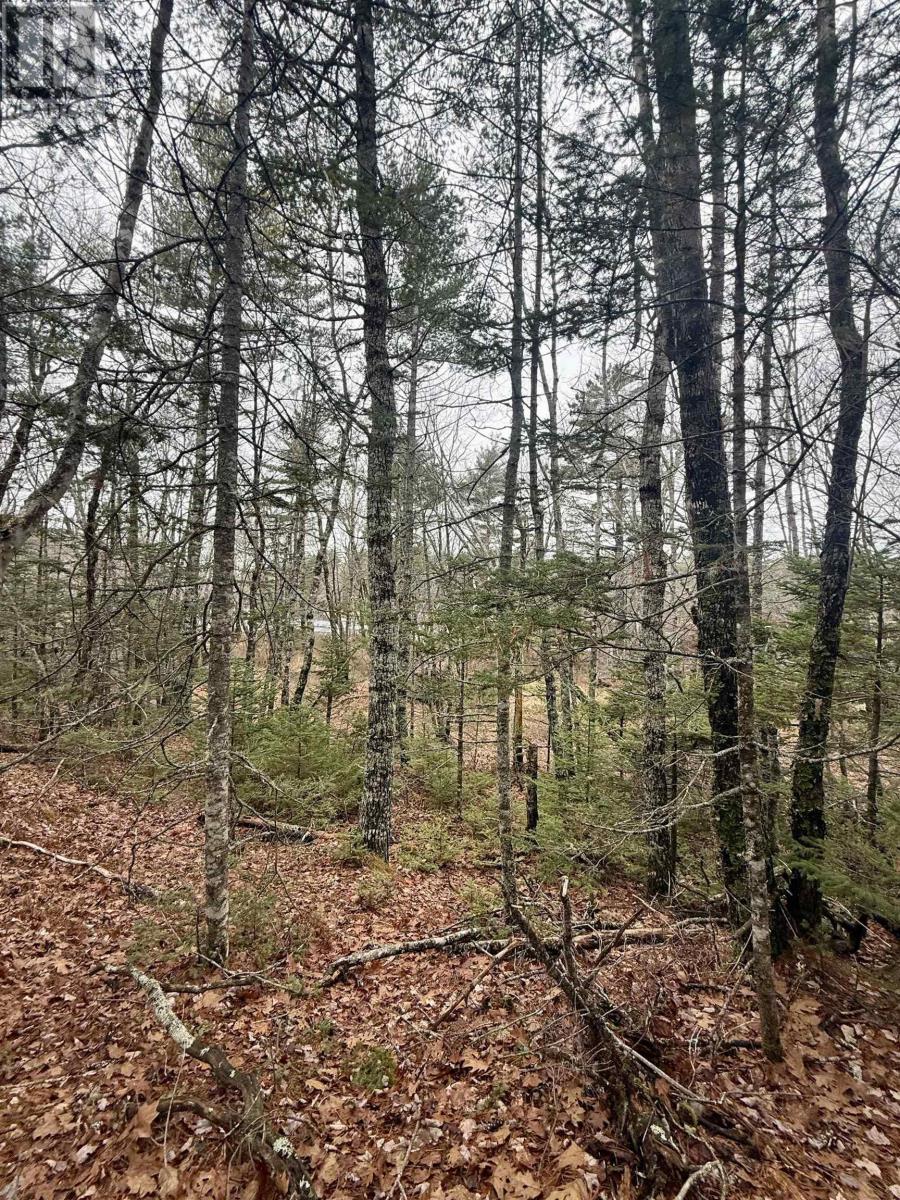 Property 13 of 16 of Lot BR-5 Highway 203