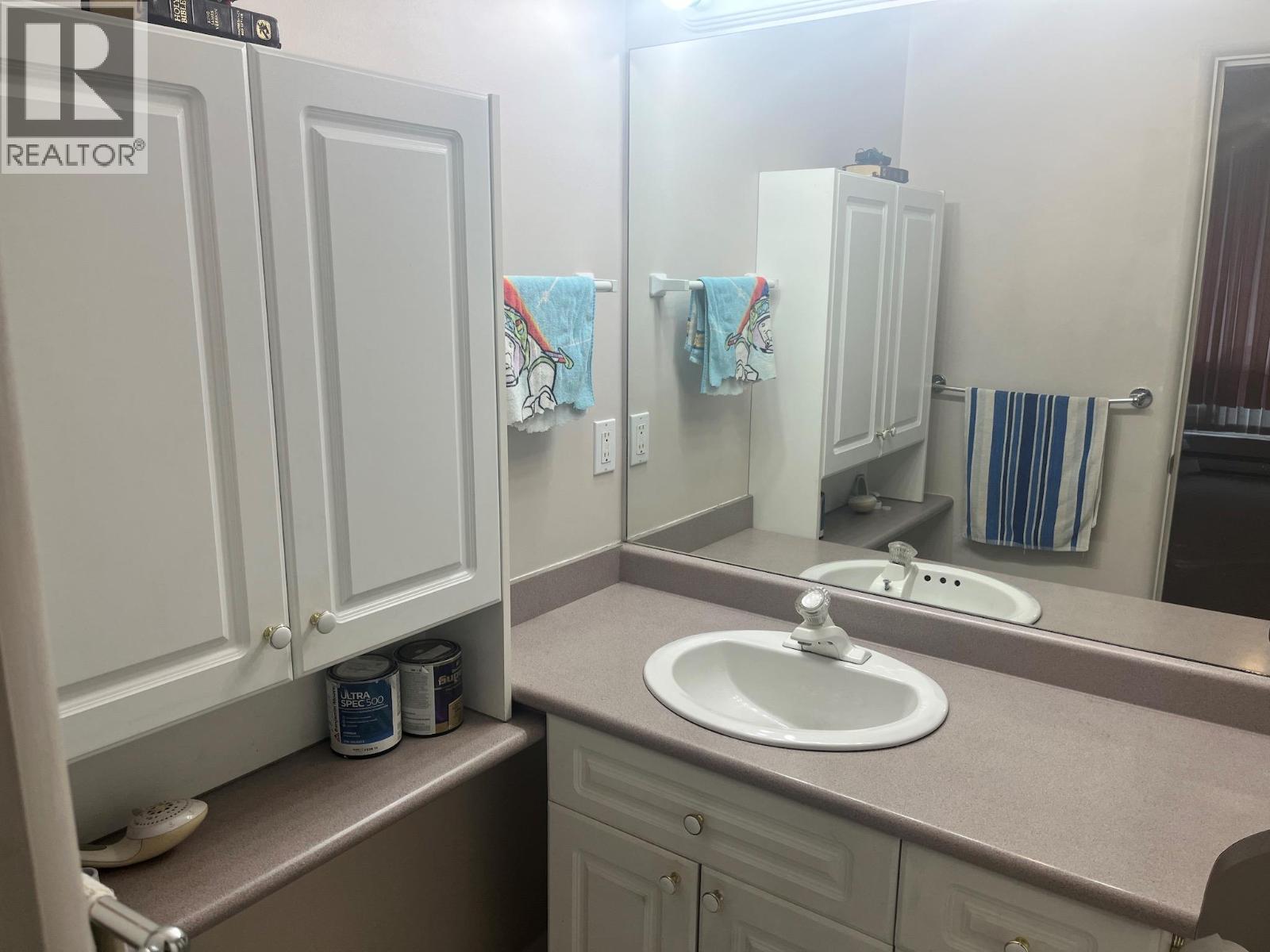 #401 3221 Centennial Drive - 17
