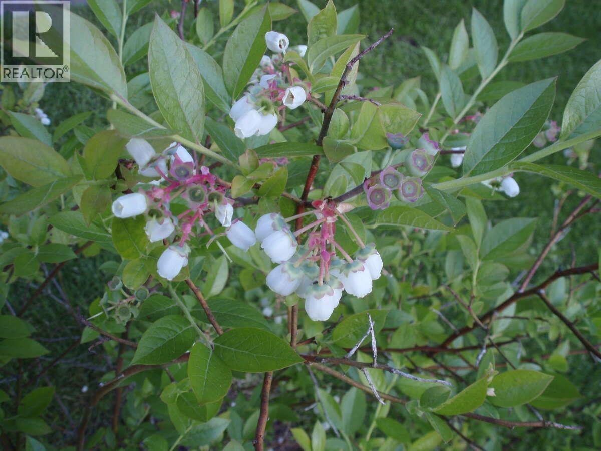 1498 CHAMBERLAIN DRIVE, North Vancouver