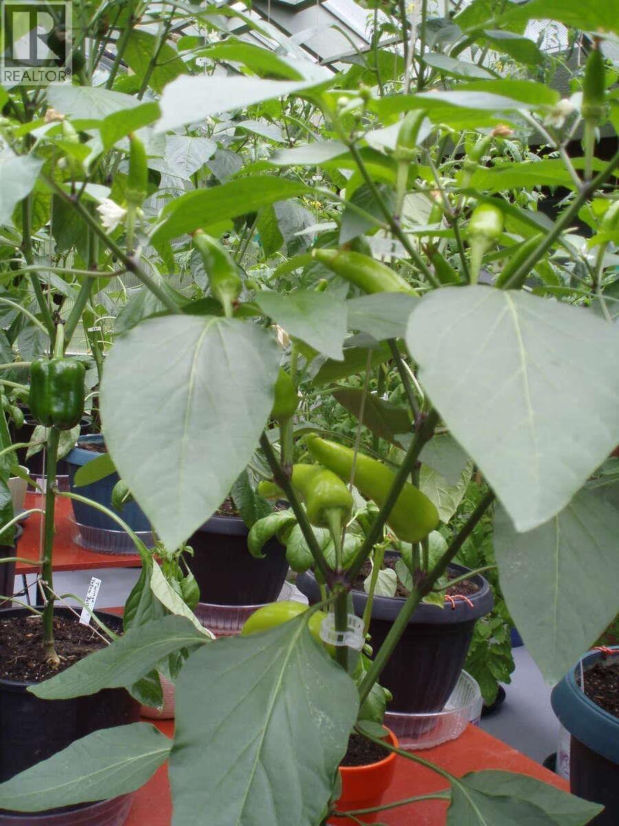 1498 CHAMBERLAIN DRIVE, North Vancouver