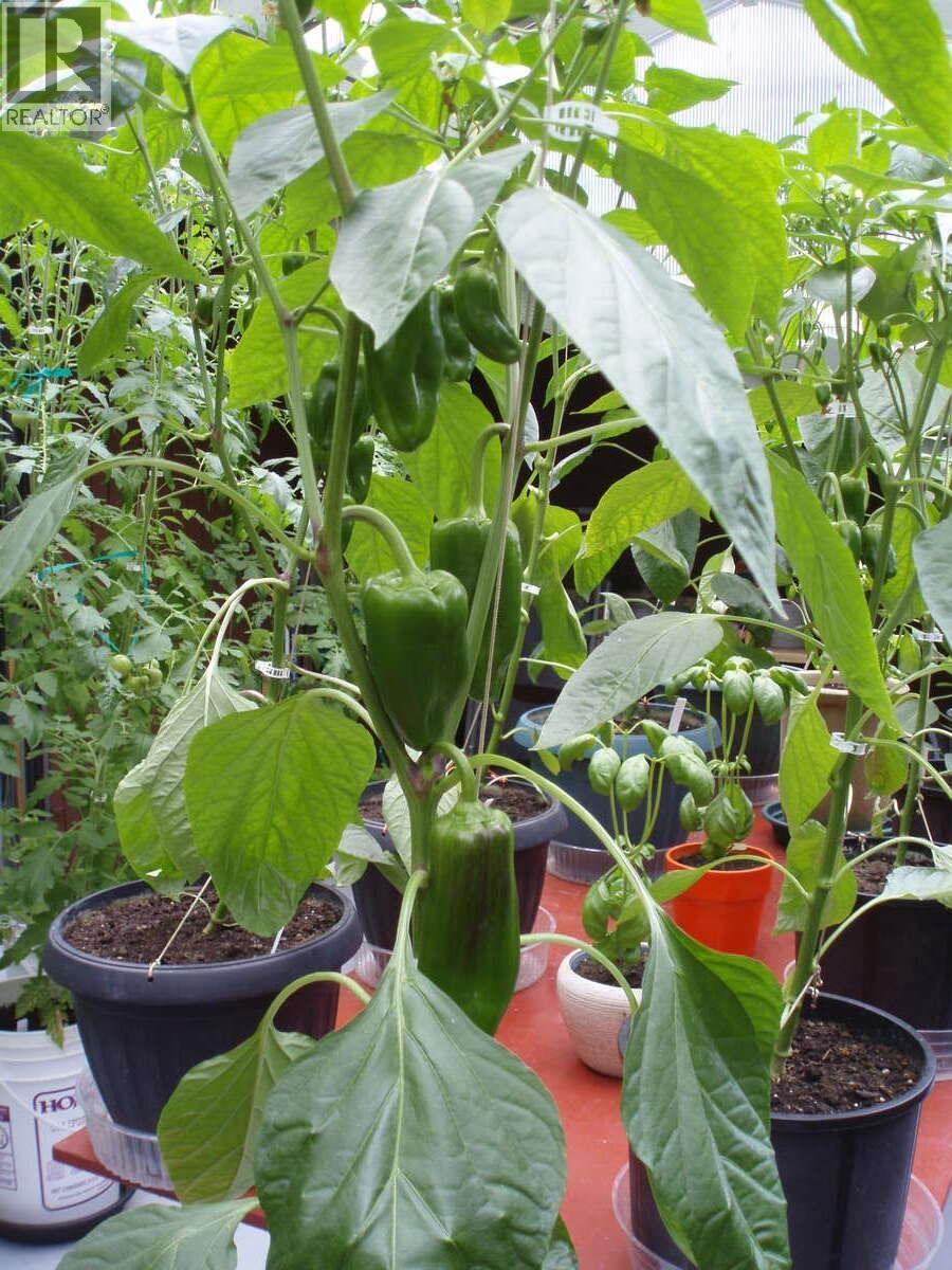 1498 CHAMBERLAIN DRIVE, North Vancouver