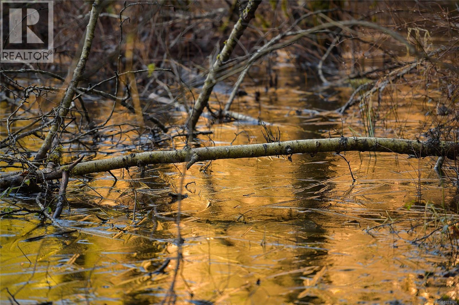 3795 GLENORA Rd, Duncan