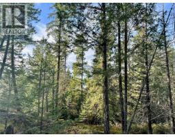 1309 Gorge Harbour Rd, Cortes Island, BC V0P1K0 Photo 10