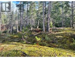 1309 Gorge Harbour Rd, Cortes Island, BC V0P1K0 Photo 11