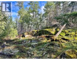 1309 Gorge Harbour Rd, Cortes Island, BC V0P1K0 Photo 16