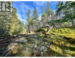 1309 Gorge Harbour Rd, Cortes Island, BC V0P1K0 Photo 17