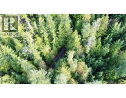 1309 Gorge Harbour Rd, Cortes Island, BC V0P1K0 Photo 29