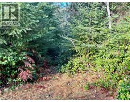 1309 Gorge Harbour Rd, Cortes Island, BC V0P1K0 Photo 34