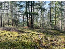 1309 Gorge Harbour Rd, Cortes Island, BC V0P1K0 Photo 7