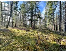 1309 Gorge Harbour Rd, Cortes Island, BC V0P1K0 Photo 8