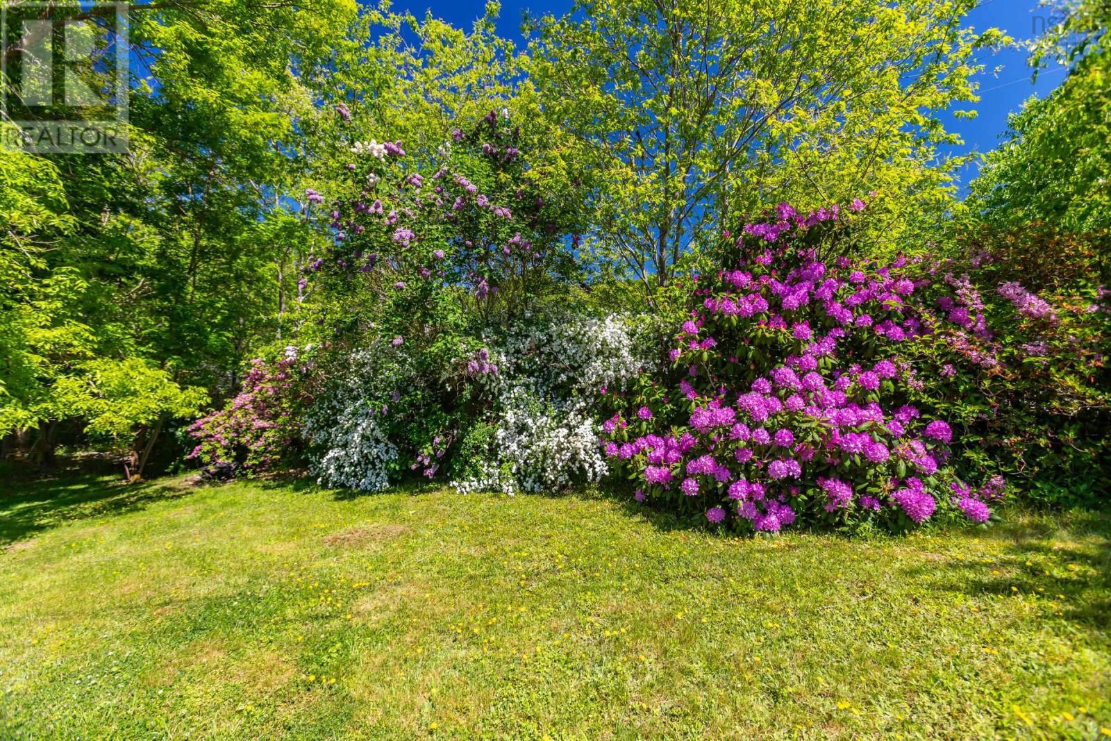 Property 27 of 50 of 481 Chute Road