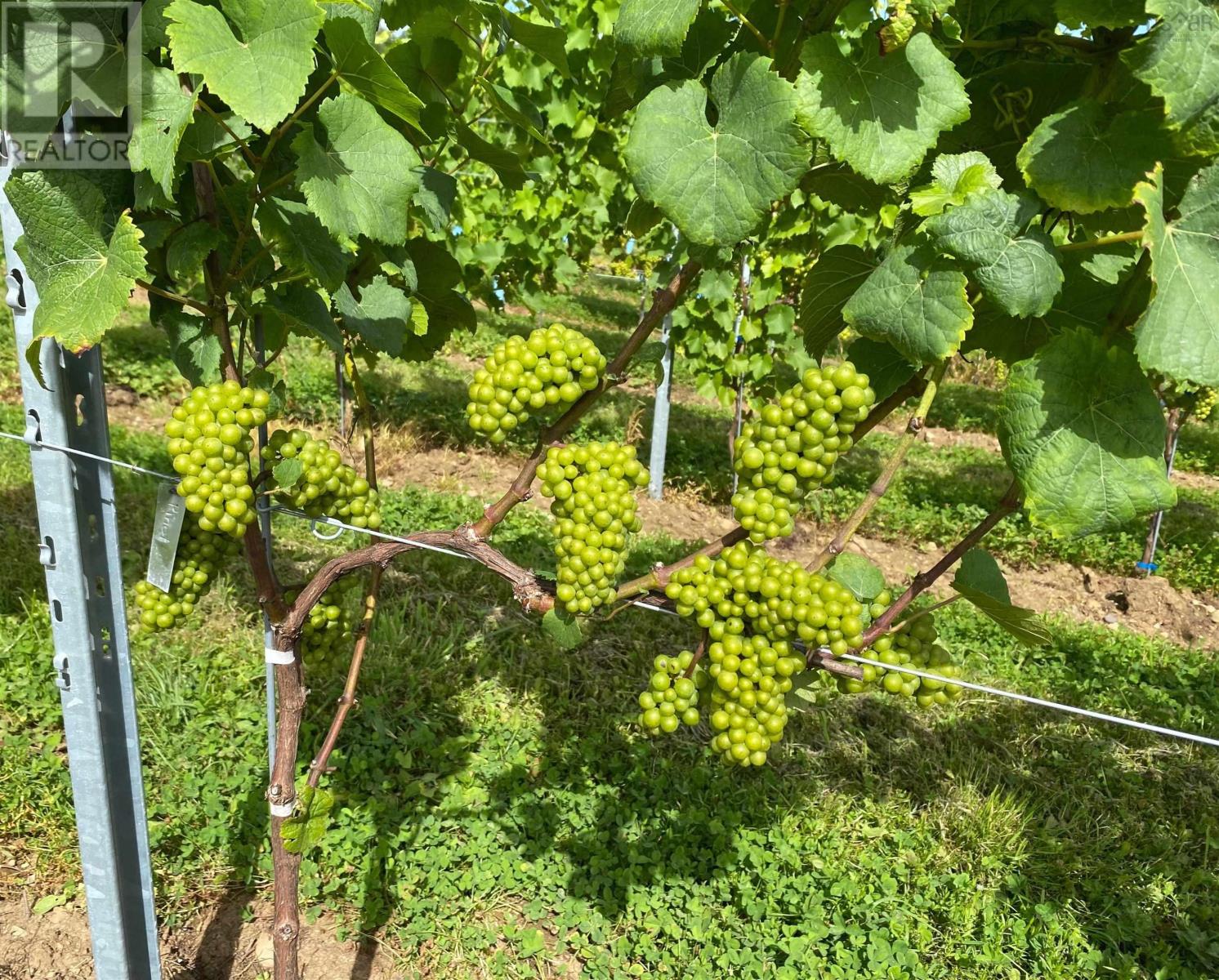 Property 10 of 37 of 4113 Highway 340