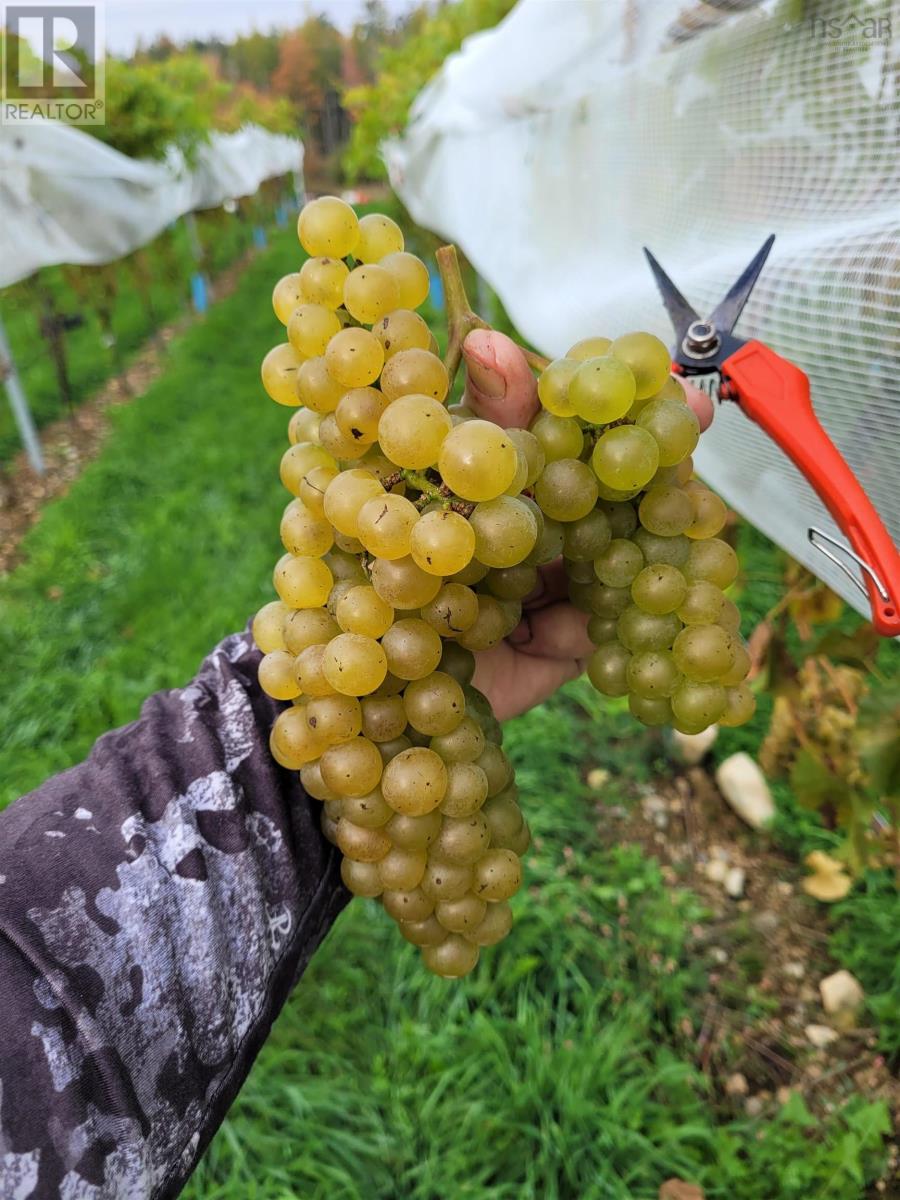 Property 14 of 37 of 4113 Highway 340