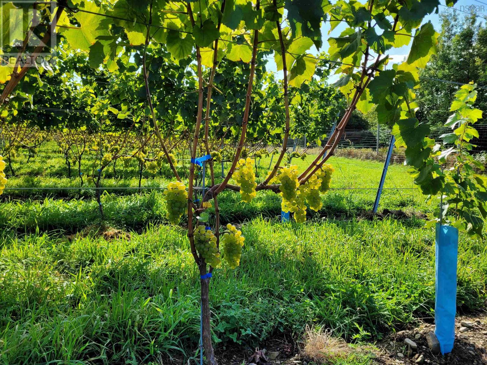 Property 18 of 37 of 4113 Highway 340