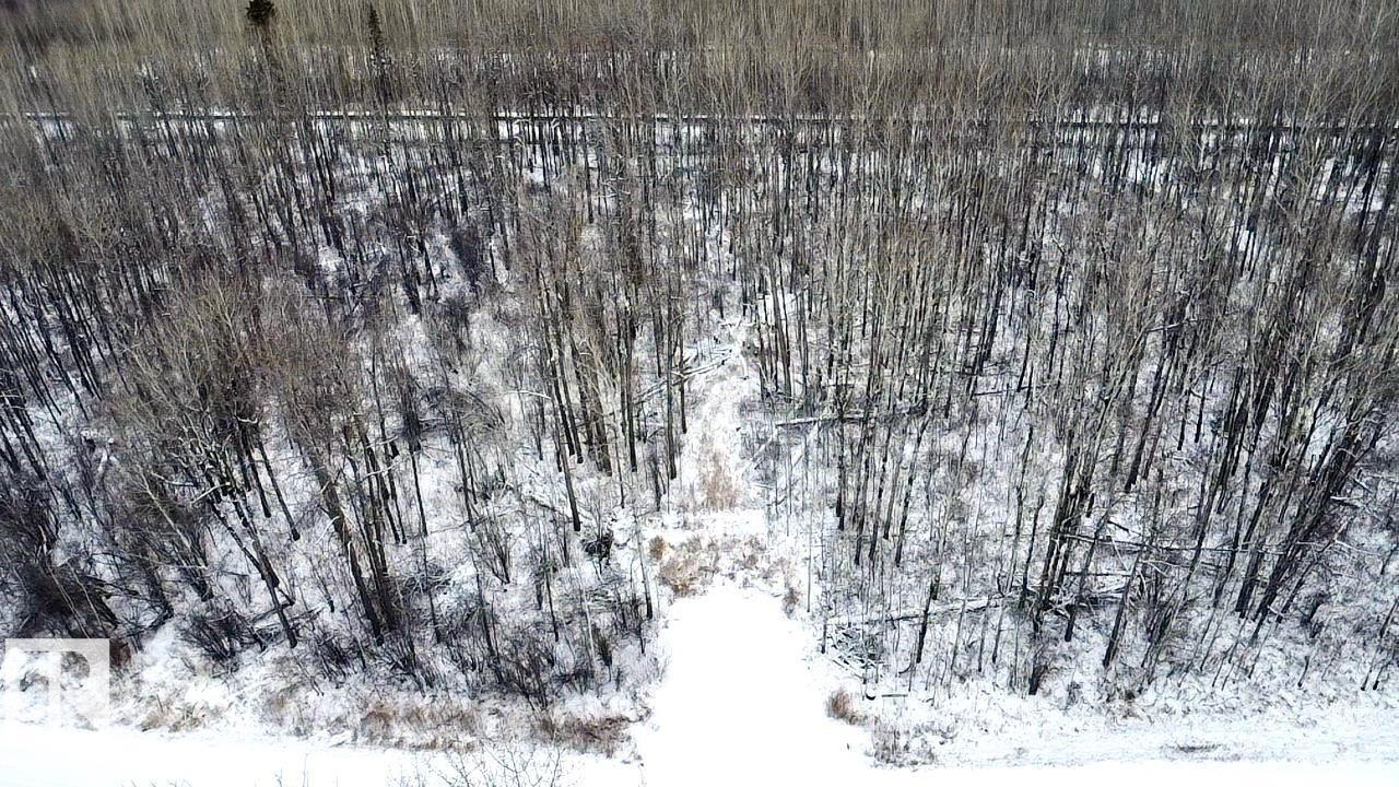 4312 Lakeshore RD, Rural Parkland County