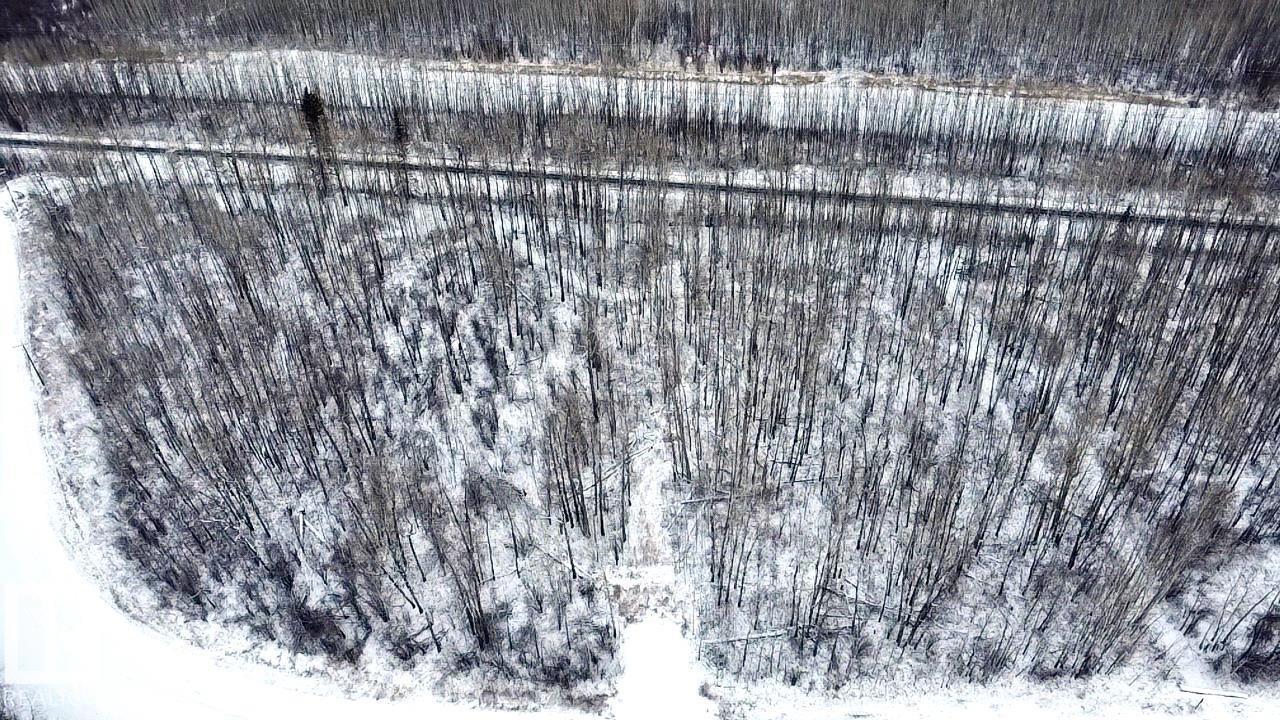 4312 Lakeshore RD, Rural Parkland County