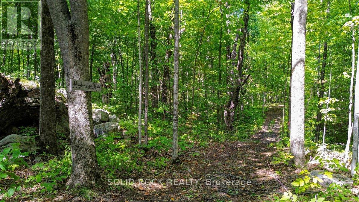 400 PIGDEN ROAD - 43