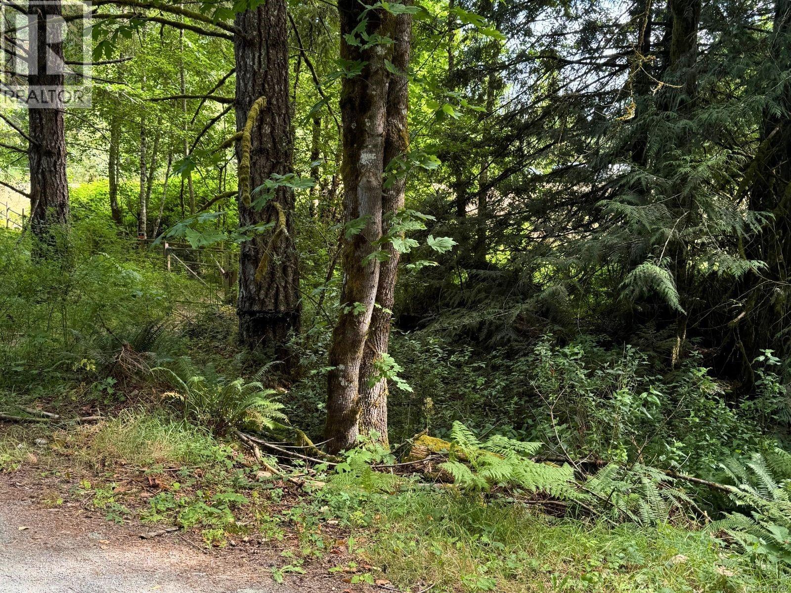 3700 Hankins Rd, Duncan