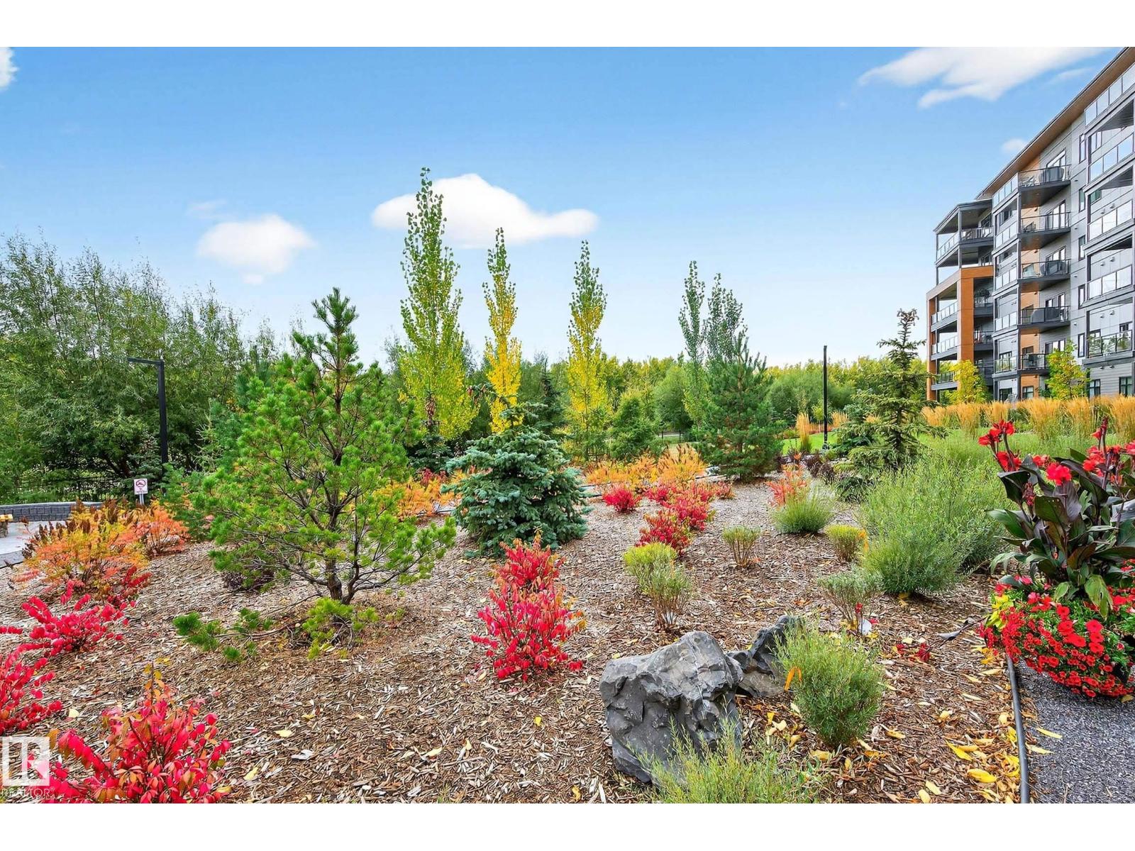 #303 7463 MAY CM NW, Edmonton