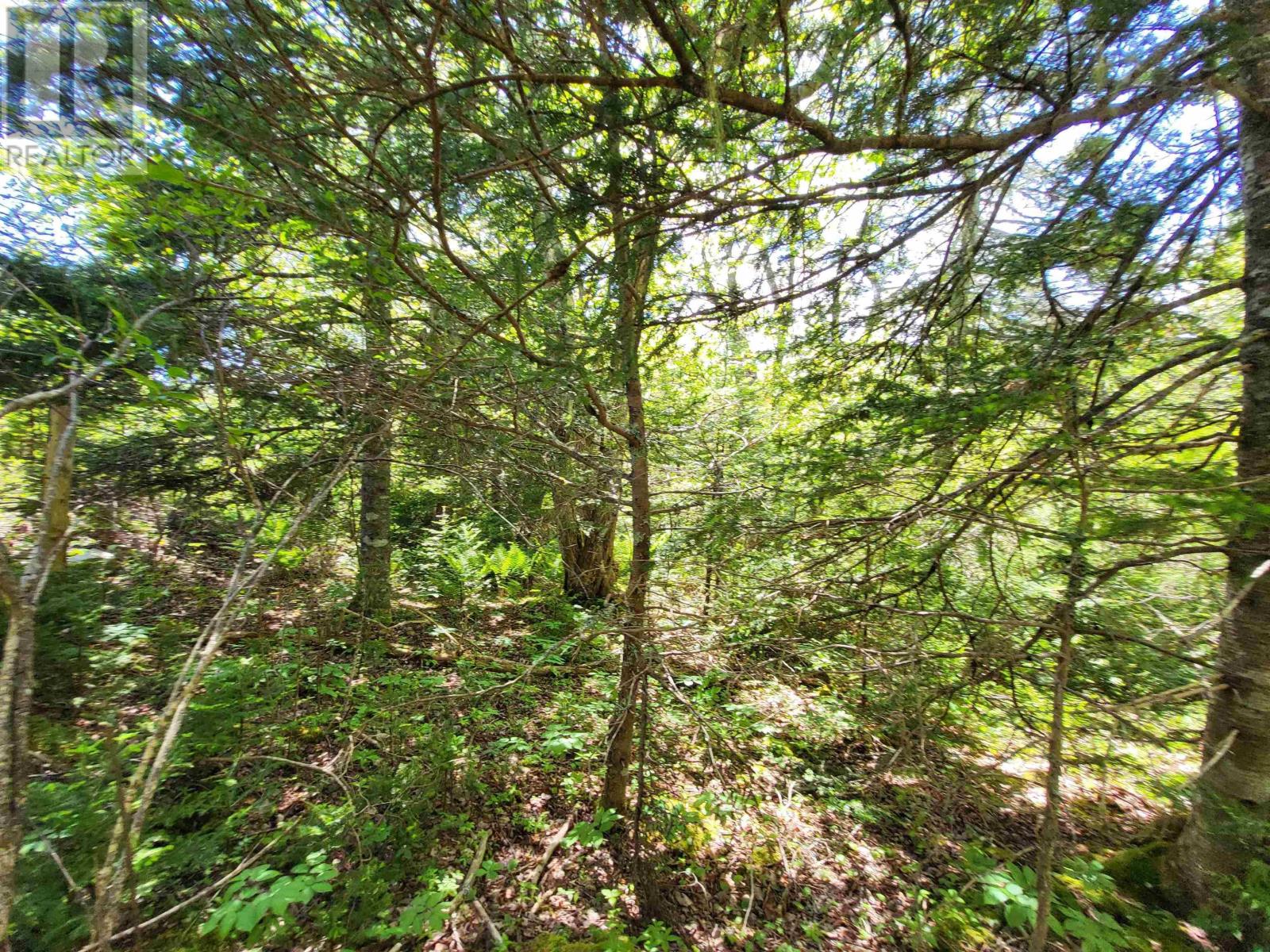 Property 17 of 24 of Lot C5 Everetts Way