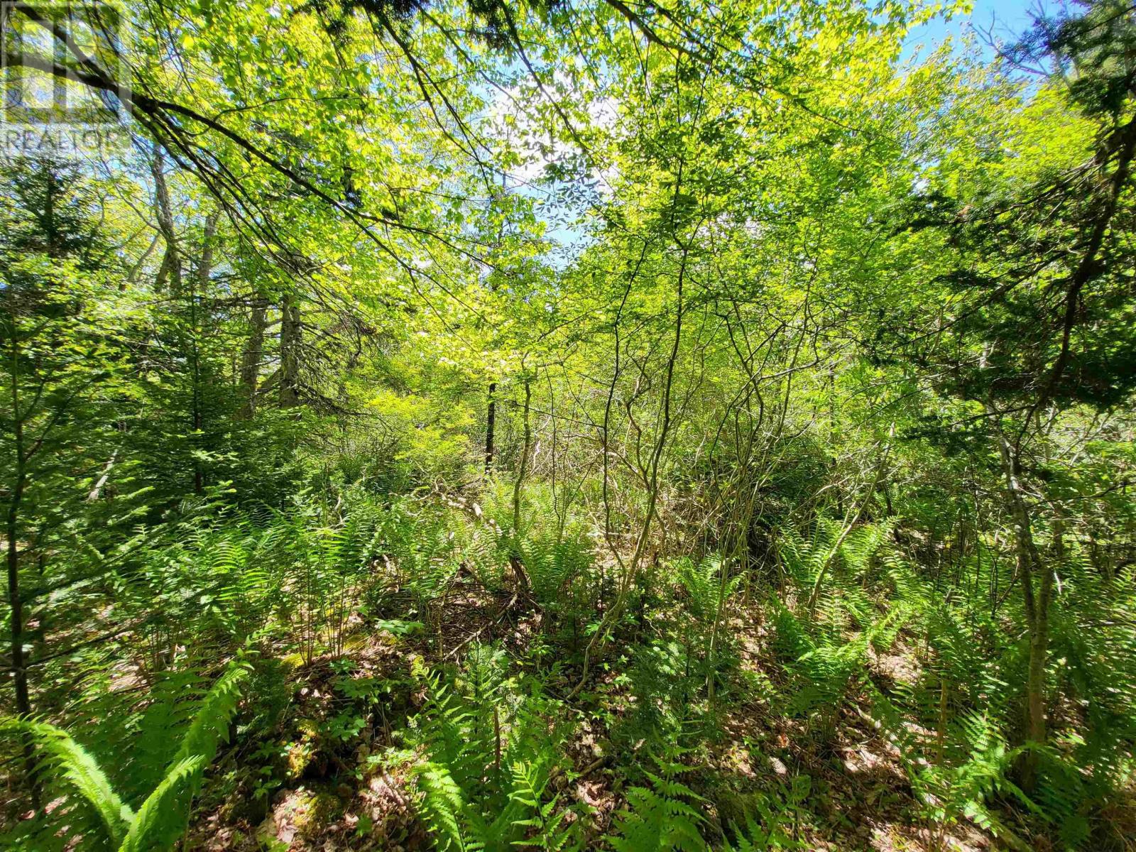 Property 19 of 24 of Lot C5 Everetts Way