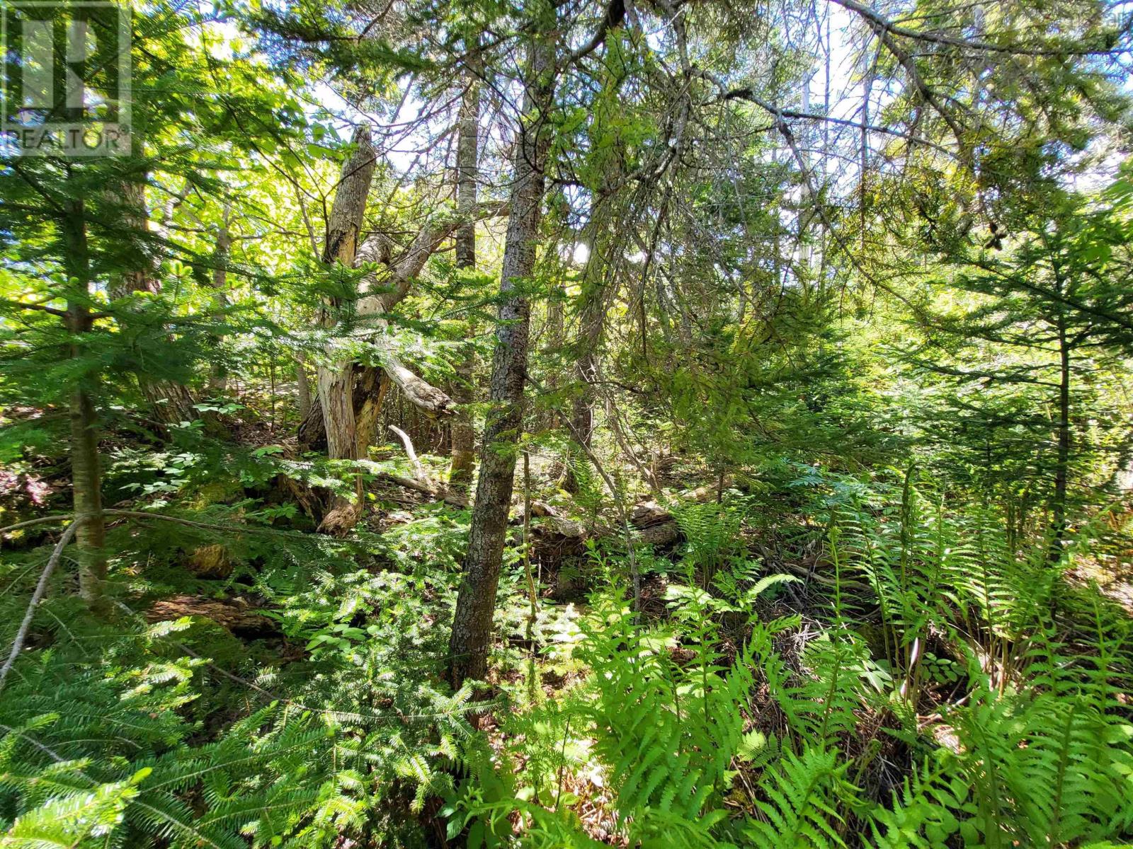 Property 9 of 24 of Lot C5 Everetts Way