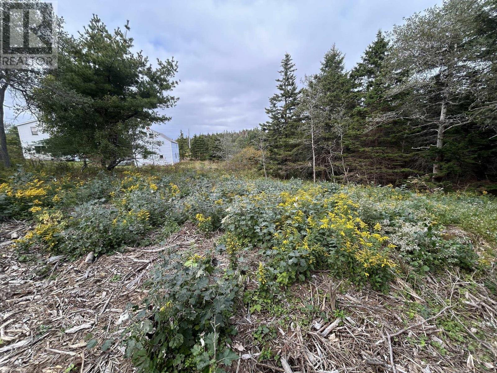 Property 17 of 23 of Highway 16