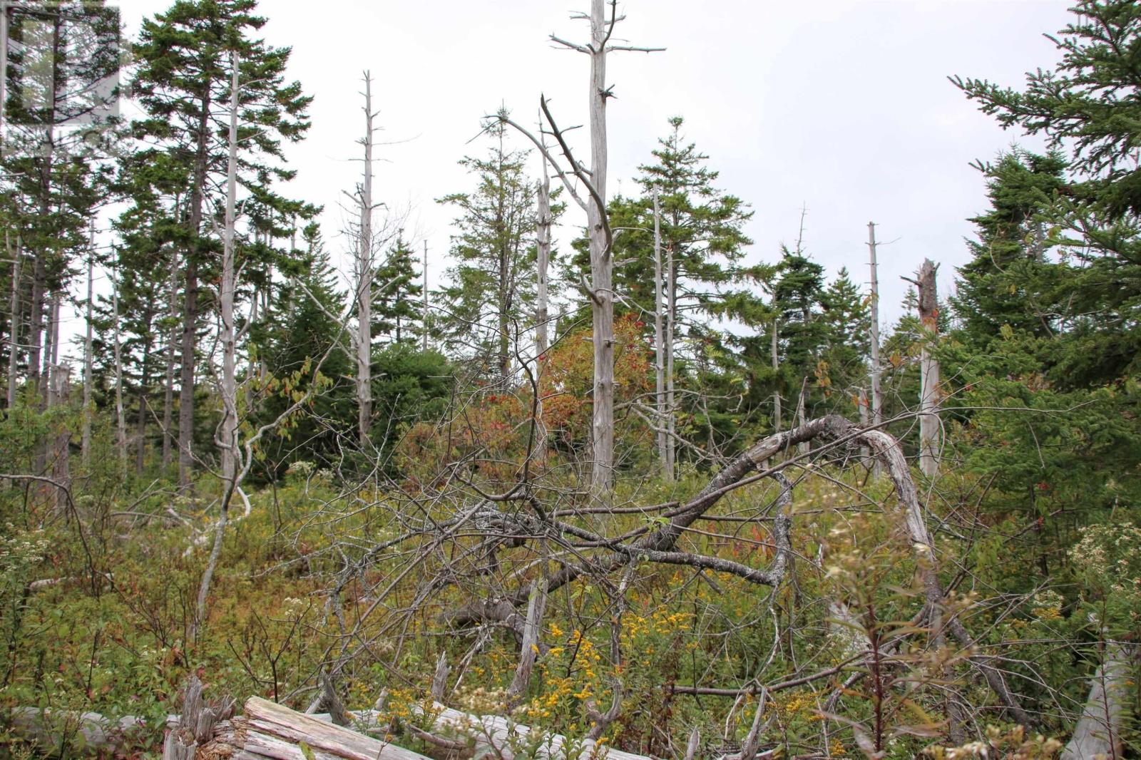 Property 15 of 23 of Highway 16