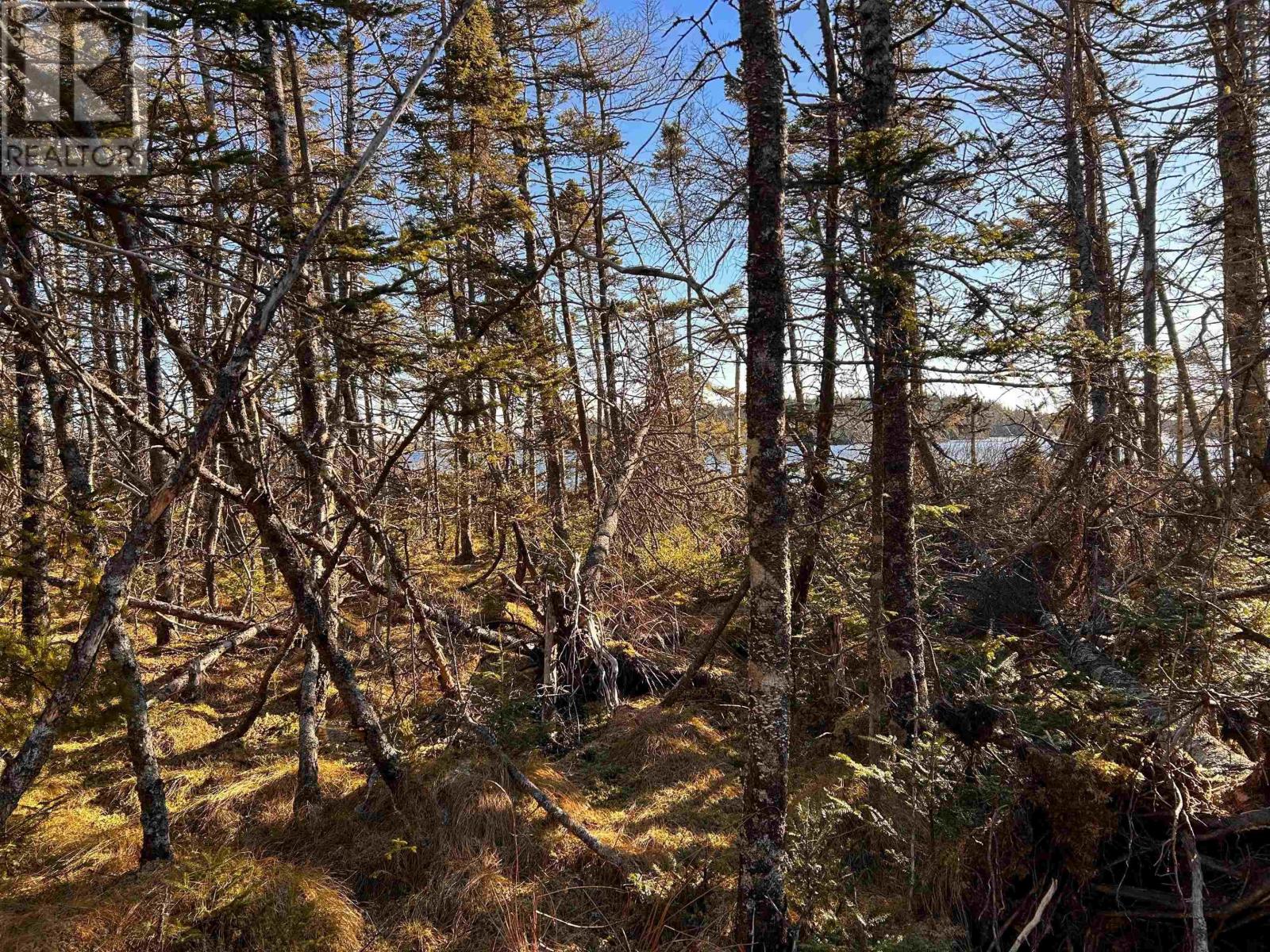 Property 20 of 23 of Highway 16