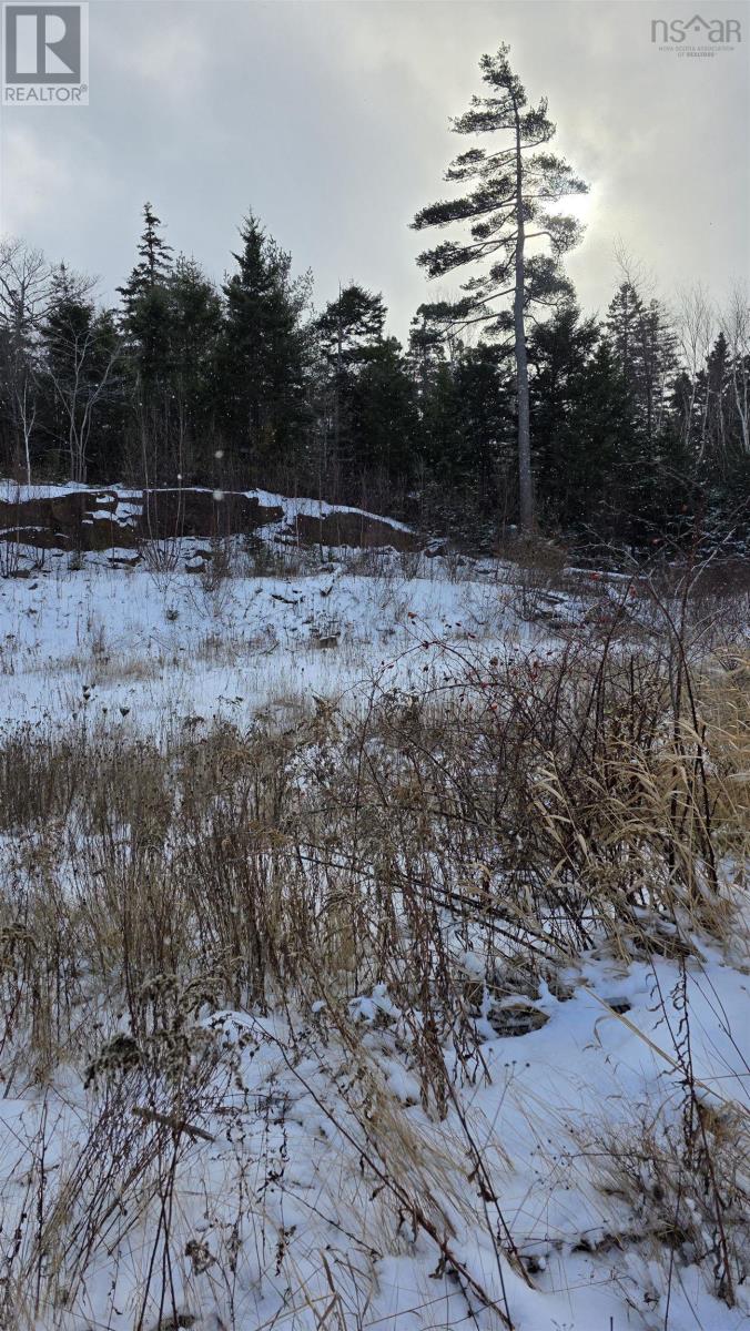 Property 3 of 4 of SF13 16 Lauderdale Court