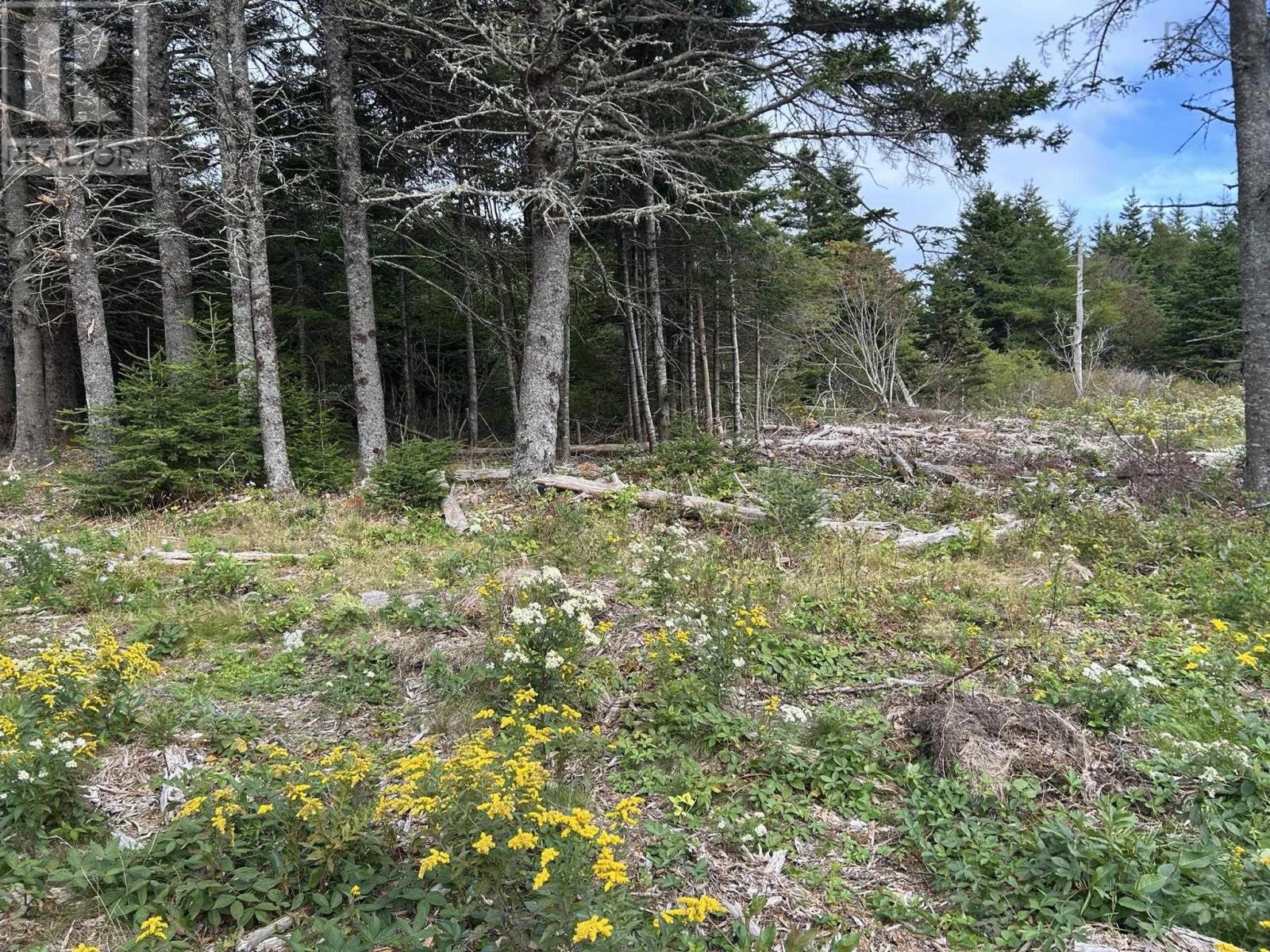 Property 5 of 23 of Highway 16