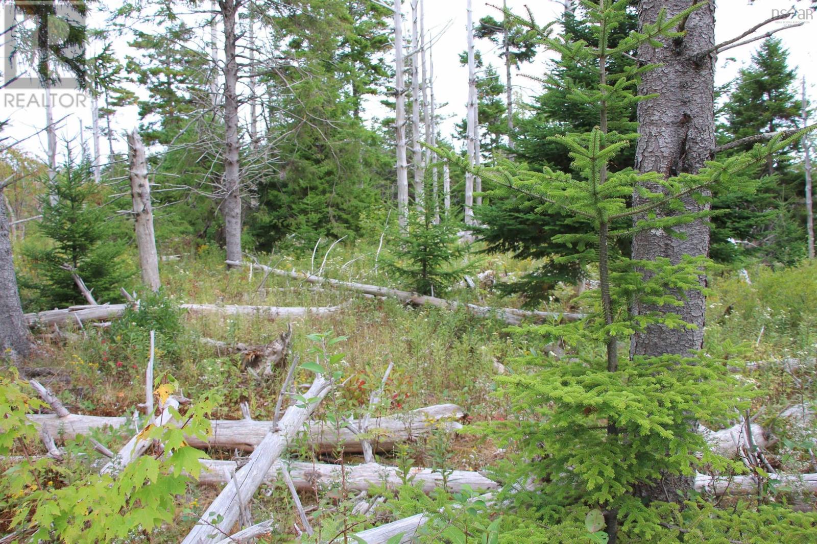 Property 10 of 23 of Highway 16